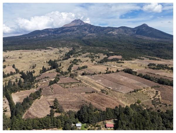 Aclara Gobierno Estatal que continúa en elaboración el proyecto ejecutivo del Ecoparque La Malintzi