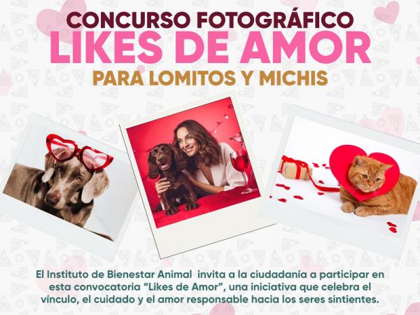 Instituto de Bienestar Animal lanza convocatoria para concurso fotográfico “Likes del Amor”
