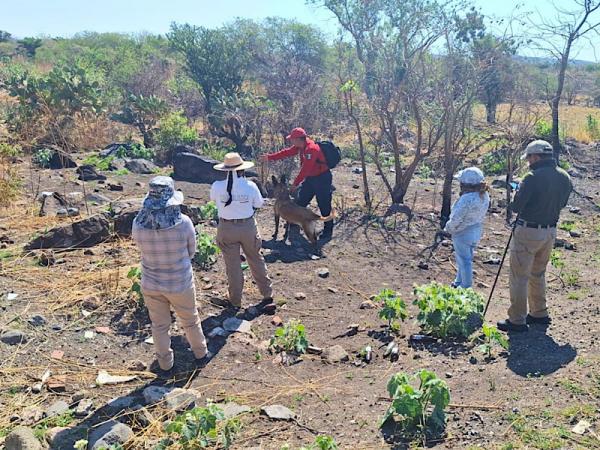 Mesas de trabajo del gobierno estatal con familias buscadoras fortalecen resultados