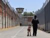 Unidad Cinot&aacute;ctica K9 de Centros Penitenciarios obtiene certificaci&oacute;n: SSP