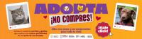 adopta