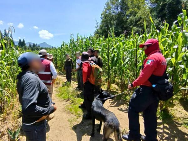 Continúan acciones favorables en localización de personas