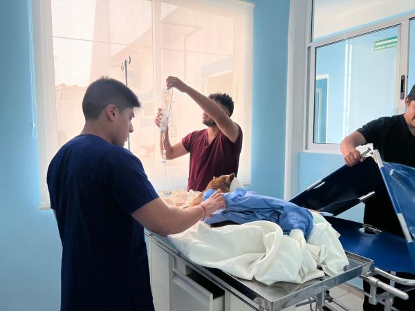 SEDIF presenta denuncia penal por presunto maltrato animal en General Felipe Ángeles