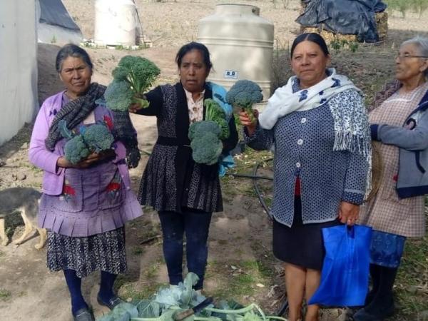 SEDIF impulsa programa “Salud y Bienestar Comunitario” en zonas de alta marginación