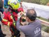 Bienestar animal y autoridades municipales rescatan canino atrapado en barranca